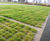 Grasscrete car park at Farmleigh, Dublin 4