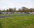 Grasscrete car park at Farmleigh, Dublin 6