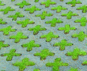 Terratone - colouring for Grasscrete pavers