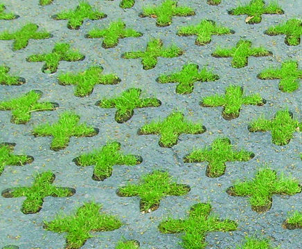 Terratone - colouring for Grasscrete pavers