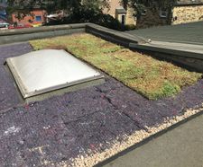 Grassroof - paving overlay system to convert flat roofs to green roofs
