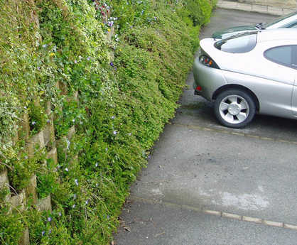 Betoatlas living green wall for structures up to 10.6m