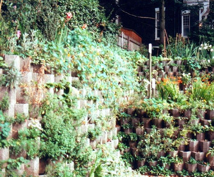 Betoflor - low-height interlocking green wall system