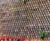 Betotitan interlocking green wall for heights up to 22m 4
