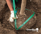 ArborGuy Drive-In Rootball Anchor - underground tree anchoring system