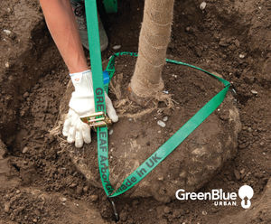 ArborGuy - tree guying system