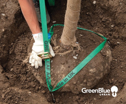 ArborGuy Drive-In Rootball Anchor - underground tree anchoring system