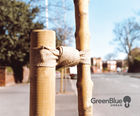 NatureTie - biodegradable hessian tree tie for staking and support