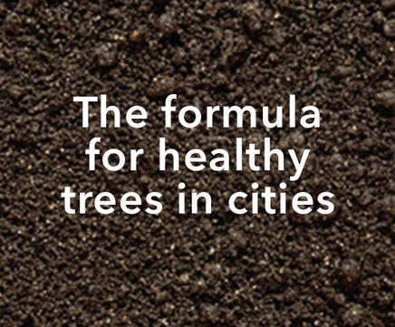 The formula for healthy trees in cities