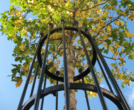 Tree Guards - metal  tree trunk protectors for urban landscaping