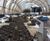 Root welfare accessories for Crossrail roof garden 0