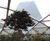Root welfare accessories for Crossrail roof garden 4