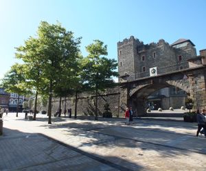 Tree pit designs ensure longevity of trees in Derry