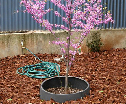 RootRain HydroFort - recycled plastic tree guard