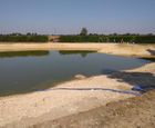 Pond and wetland construction - Essex