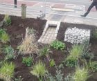 Sustainable drainage system (SUDS) for Haringey Council