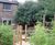 Play garden design and build - private nursery 5