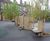 Playground trim trails and assault courses 3