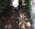 Playground trim trails and assault courses 8