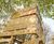 Design and build of natural play areas 5
