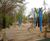 Design and build of natural play areas 9