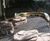 Parks, public spaces, and community gardens 2
