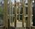 Parks, public spaces, and community gardens 7
