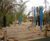 Parks, public spaces, and community gardens 8