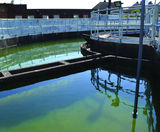 Improved sludge blanket measurement reduces wastage - on this page