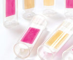 Agar dipslides