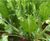 Wastewater treatment for beet sugar factory, Egypt 4