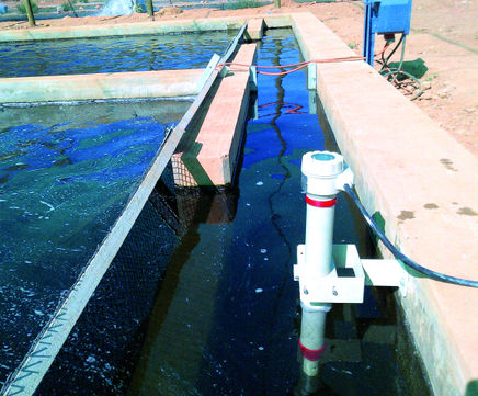 Temperature measurement