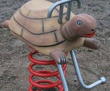 Tortoise Springer