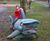 Shark hand-carved sculpture 0