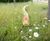 Balancing Snake 906110250R 1