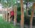 Stepping Stilts 3