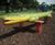 Large Crocodile Springer 1