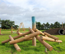 Climbing Trunk Pile