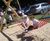 Hammock Swing 0