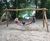 Hammock Swing 5