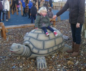 Giant Tortoise