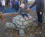 Giant Tortoise