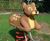 Hand Carved Springers 3