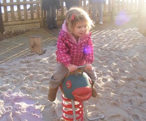 Hand Carved Springers