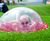 Daisy's Garden outdoor play area - The Ice Cream Farm 0