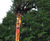 Upside Down Tree Sculptures 9124431740 2