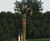 Upside Down Tree Sculptures 9124431740 6