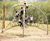 Redes 3-pole climbing dome 1