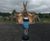 Audionetic inclusive, interactive sound post for play areas 8