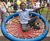 Wave Nest Swing 0